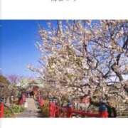 ヒメ日記 2026/03/11 07:45 投稿 ほたる 熟女の風俗最終章 錦糸町店