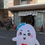 ヒメ日記 2026/03/11 12:25 投稿 ほたる 熟女の風俗最終章 錦糸町店