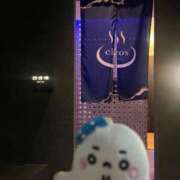 ヒメ日記 2026/04/01 07:35 投稿 ほたる 熟女の風俗最終章 錦糸町店