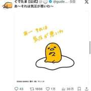 ヒメ日記 2026/07/14 13:05 投稿 ほたる 熟女の風俗最終章 錦糸町店