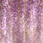 ヒメ日記 2025/08/13 17:16 投稿 朝海(あさみ) 人妻最後の砦 土浦店