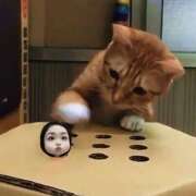 ヒメ日記 2026/02/04 20:10 投稿 さくら 豊満熟女