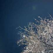 ヒメ日記 2026/03/24 20:34 投稿 さくら 豊満熟女