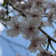 ヒメ日記 2026/04/11 19:22 投稿 さくら 豊満熟女