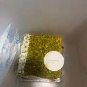 ヒメ日記 2025/11/14 15:35 投稿 なぎさ 素人ぽちゃカワ学園