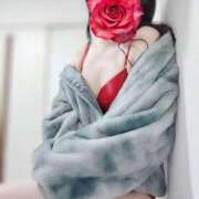 ヒメ日記 2026/03/15 11:45 投稿 ちさと 京都人妻デリヘル倶楽部