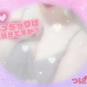 ヒメ日記 2025/09/16 18:02 投稿 つばき☆Regular 岡山人妻デリヘルLipKiss