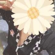 ヒメ日記 2025/08/22 08:01 投稿 あんな 11チャンネル