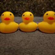 ヒメ日記 2025/08/30 16:30 投稿 あんな 11チャンネル