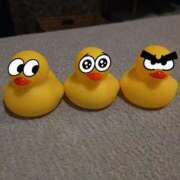 ヒメ日記 2025/09/11 16:15 投稿 あんな 11チャンネル