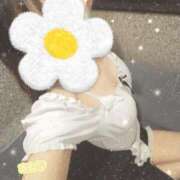 ヒメ日記 2026/06/24 05:45 投稿 あんな 11チャンネル