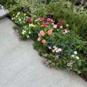 ヒメ日記 2025/08/01 09:02 投稿 天音（あまね） 熟女の風俗最終章 大宮店