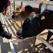 なな 🐮 あふたーすくーる本店