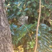 ヒメ日記 2026/02/02 09:04 投稿 あい 丸妻 池袋店