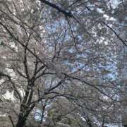 ヒメ日記 2026/03/29 22:46 投稿 あい 丸妻 池袋店