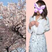 まさき 次の出勤です😃 マダム錦糸町