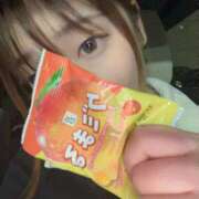 ヒメ日記 2025/08/10 00:53 投稿 くれは いわき小名浜ちゃんこ