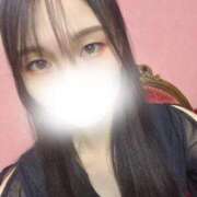 ヒメ日記 2025/07/31 13:52 投稿 豊田 みのり メルビス＆アトリアーナ