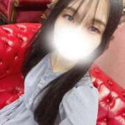 ヒメ日記 2025/08/05 09:50 投稿 豊田 みのり メルビス＆アトリアーナ