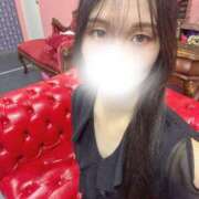 ヒメ日記 2025/08/12 10:05 投稿 豊田 みのり メルビス＆アトリアーナ