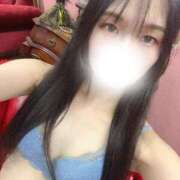 ヒメ日記 2025/08/29 10:10 投稿 豊田 みのり メルビス＆アトリアーナ