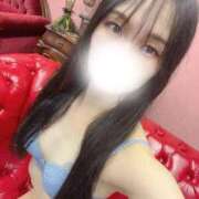 ヒメ日記 2025/09/12 10:06 投稿 豊田 みのり メルビス＆アトリアーナ