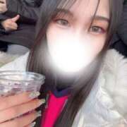 ヒメ日記 2026/02/09 11:14 投稿 豊田 みのり メルビス＆アトリアーナ