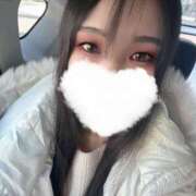 ヒメ日記 2026/03/05 10:28 投稿 豊田 みのり メルビス＆アトリアーナ