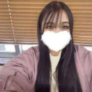 ヒメ日記 2026/03/08 10:55 投稿 豊田 みのり メルビス＆アトリアーナ