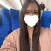 ヒメ日記 2026/03/24 19:40 投稿 豊田 みのり メルビス＆アトリアーナ