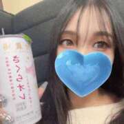 ヒメ日記 2026/04/01 13:57 投稿 豊田 みのり メルビス＆アトリアーナ