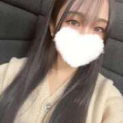 ヒメ日記 2026/04/03 11:06 投稿 豊田 みのり メルビス＆アトリアーナ