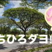 ヒメ日記 2025/09/08 12:38 投稿 千聖(ちひろ) 池袋角海老