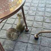 千聖(ちひろ) 【週明けの活力って何だか分かる？🩷】 池袋角海老