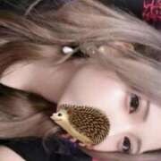 ヒメ日記 2025/08/26 07:06 投稿 春風ゆうあ HYPER TOKYO