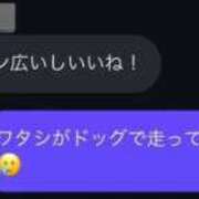 ヒメ日記 2025/09/08 08:44 投稿 春風ゆうあ HYPER TOKYO