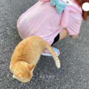 ヒメ日記 2025/10/16 12:44 投稿 春風ゆうあ HYPER TOKYO