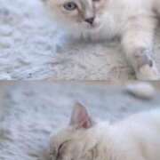 ヒメ日記 2026/01/13 10:24 投稿 春風ゆうあ HYPER TOKYO