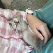 ヒメ日記 2026/01/13 15:04 投稿 春風ゆうあ HYPER TOKYO