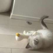 ヒメ日記 2026/01/22 09:20 投稿 春風ゆうあ HYPER TOKYO