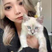 ヒメ日記 2026/02/10 09:44 投稿 春風ゆうあ HYPER TOKYO