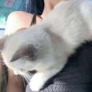 ヒメ日記 2026/02/20 19:01 投稿 春風ゆうあ HYPER TOKYO