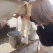 ヒメ日記 2026/03/27 12:03 投稿 春風ゆうあ HYPER TOKYO