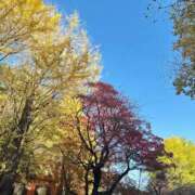 ヒメ日記 2025/11/17 17:38 投稿 希崎もも ウルトラロイヤル