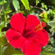 ヒメ日記 2025/08/16 21:47 投稿 椎名みこと 西川口風俗ド淫乱ンド