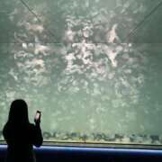 ヒメ日記 2025/09/09 23:27 投稿 椎名みこと 西川口風俗ド淫乱ンド