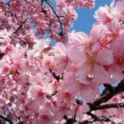 ヒメ日記 2026/03/01 16:05 投稿 保科はつね エステdeシンデレラ横浜（シンデレラグループ）