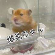 ヒメ日記 2026/01/11 10:30 投稿 ❤️甘え上手な爆乳❤️ちゃん グッドスマイル