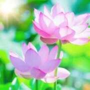 ヒメ日記 2025/08/11 10:30 投稿 こはなさん 鶯谷のデリヘル桃山