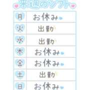ヒメ日記 2025/08/14 11:56 投稿 こはなさん 鶯谷のデリヘル桃山